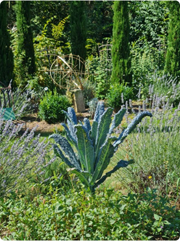 test jardin 7